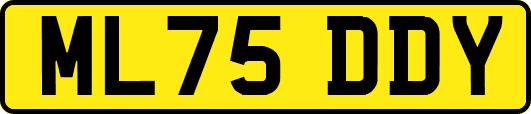 ML75DDY
