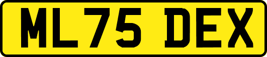 ML75DEX