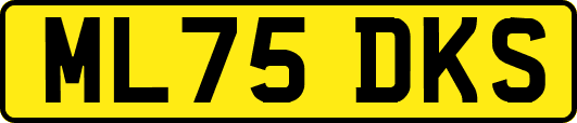 ML75DKS