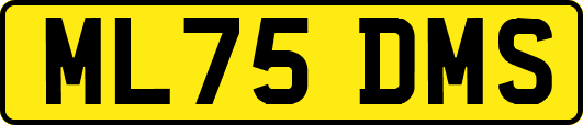 ML75DMS