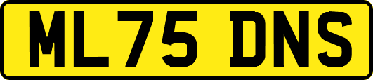 ML75DNS