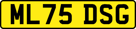 ML75DSG