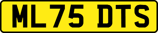 ML75DTS