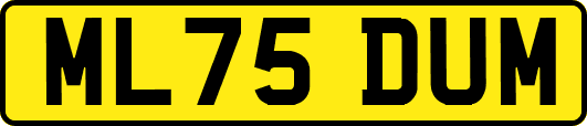 ML75DUM