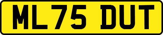 ML75DUT