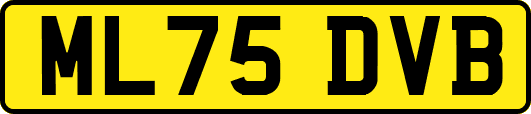 ML75DVB