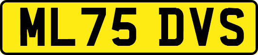 ML75DVS