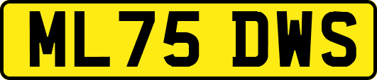 ML75DWS