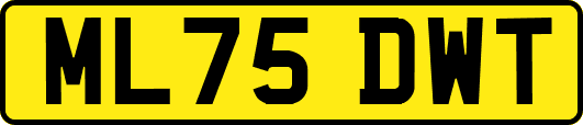 ML75DWT