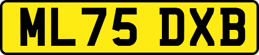 ML75DXB