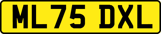 ML75DXL