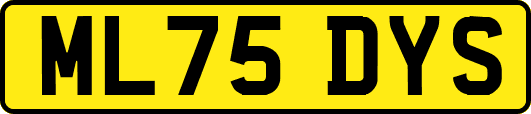 ML75DYS