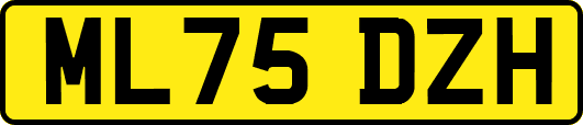 ML75DZH