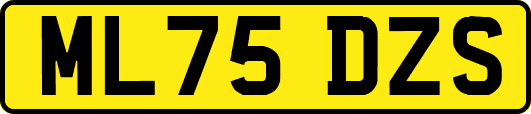 ML75DZS