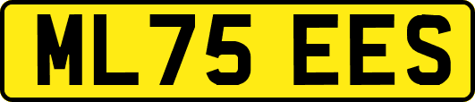ML75EES