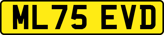 ML75EVD