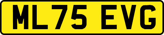 ML75EVG