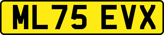ML75EVX