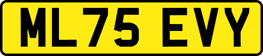 ML75EVY