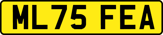ML75FEA
