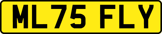 ML75FLY