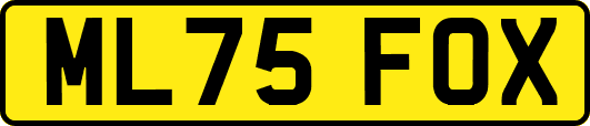 ML75FOX