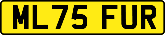 ML75FUR
