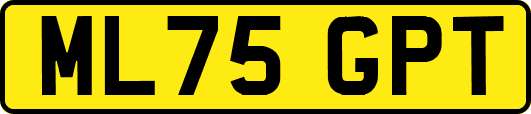 ML75GPT
