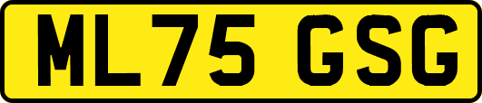 ML75GSG