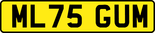 ML75GUM
