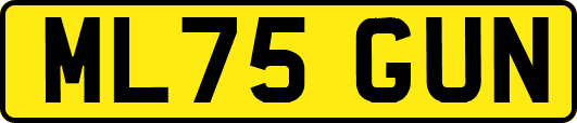 ML75GUN