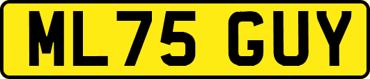 ML75GUY
