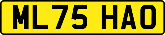 ML75HAO