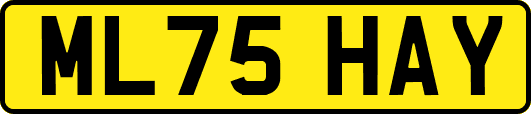 ML75HAY