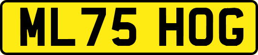 ML75HOG
