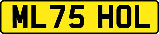 ML75HOL