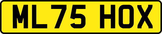 ML75HOX