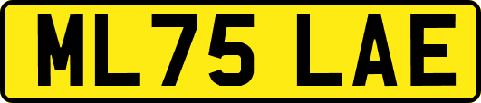 ML75LAE