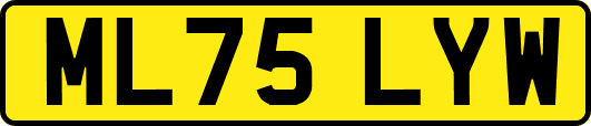 ML75LYW