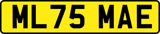 ML75MAE