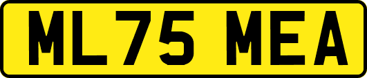 ML75MEA