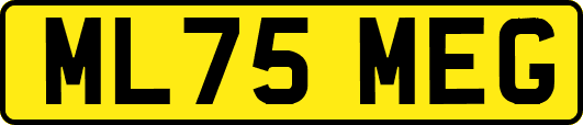 ML75MEG