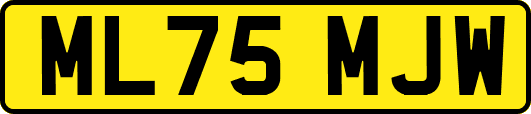 ML75MJW