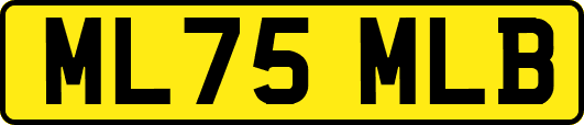 ML75MLB