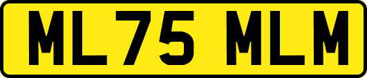 ML75MLM