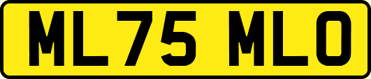 ML75MLO