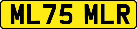 ML75MLR