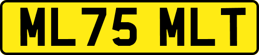 ML75MLT