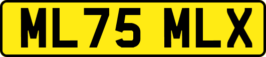 ML75MLX