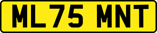 ML75MNT